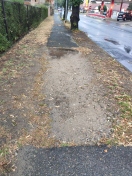 Foto: Regenwasser  